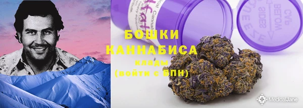 прущие грибы Лиски