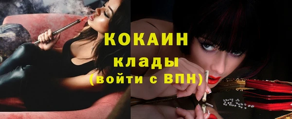 прущие грибы Лиски