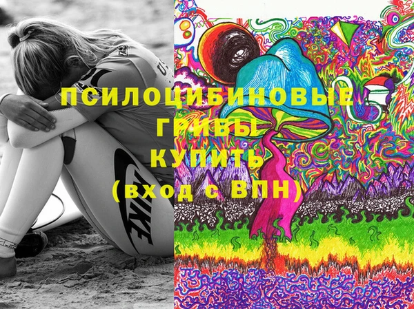 прущие грибы Лиски