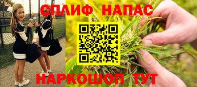 СК Гагарин