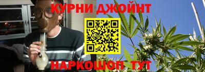 трава Гатчина