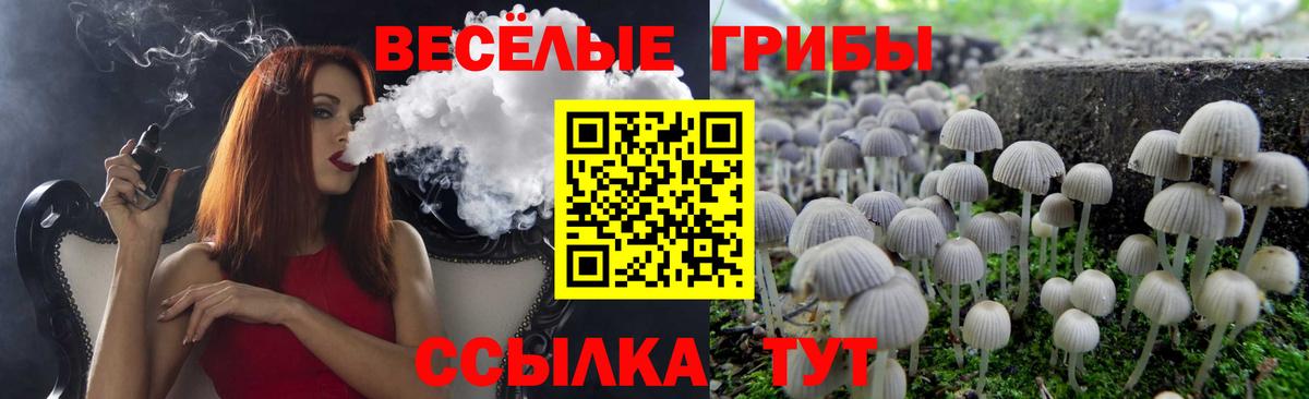 Каннабис  Alpha PVP СОЛЬ кристаллы  Вход с VPN  MDMA  ГАШИШ  Мурино  Меф  