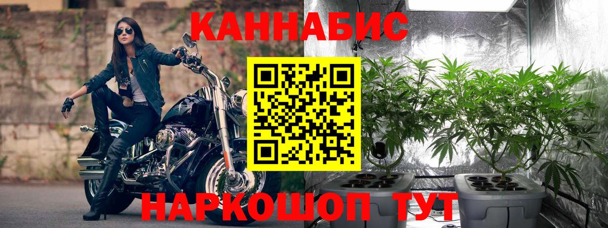 МАРИХУАНА конопля  Вход с VPN  МАРИХУАНА ГИДРОПОН  Мурино  Каннабис SATIVA & INDICA 
